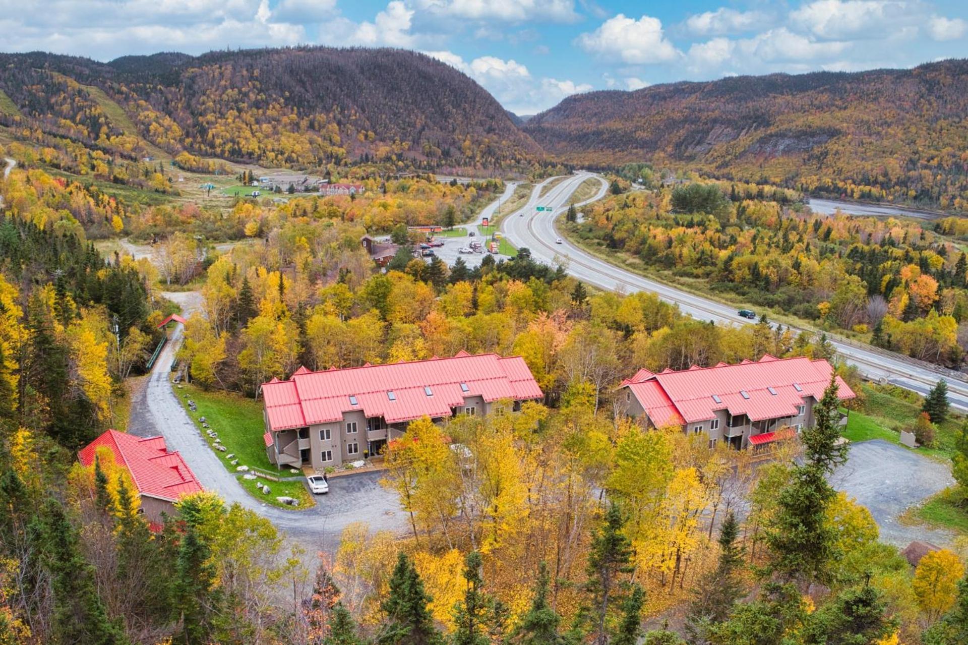 Marblewood Village Resort Steady Brook Εξωτερικό φωτογραφία