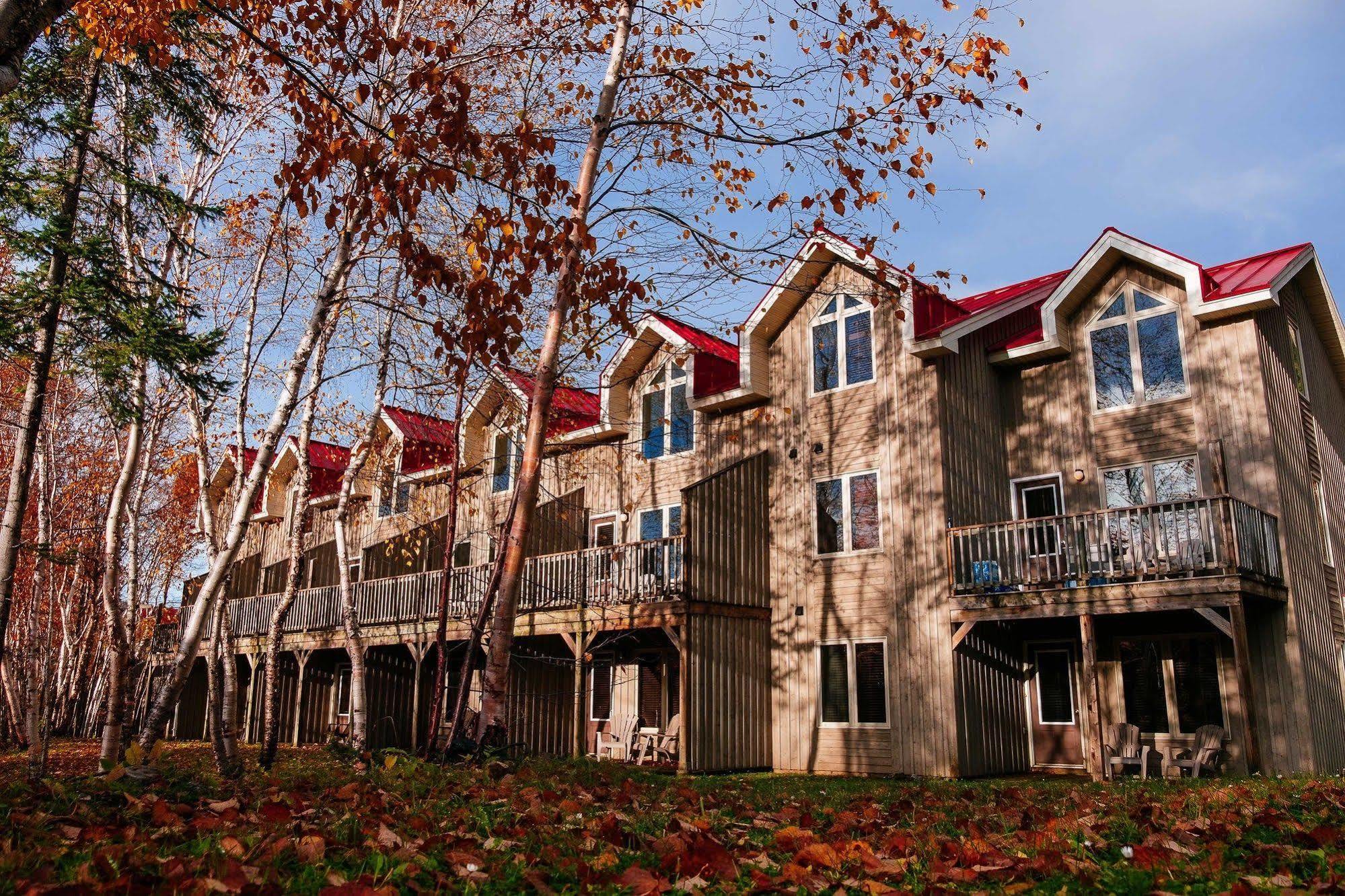 Marblewood Village Resort Steady Brook Εξωτερικό φωτογραφία
